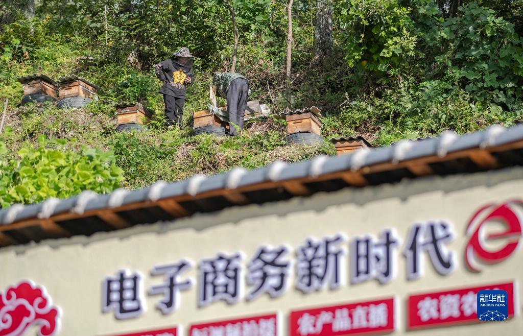 巴黎人可靠网站